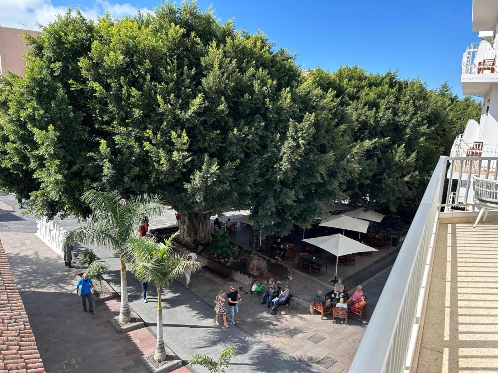 Vista Plaza - Exceptional Location Apartment Los Llanos De Aridane Exterior foto